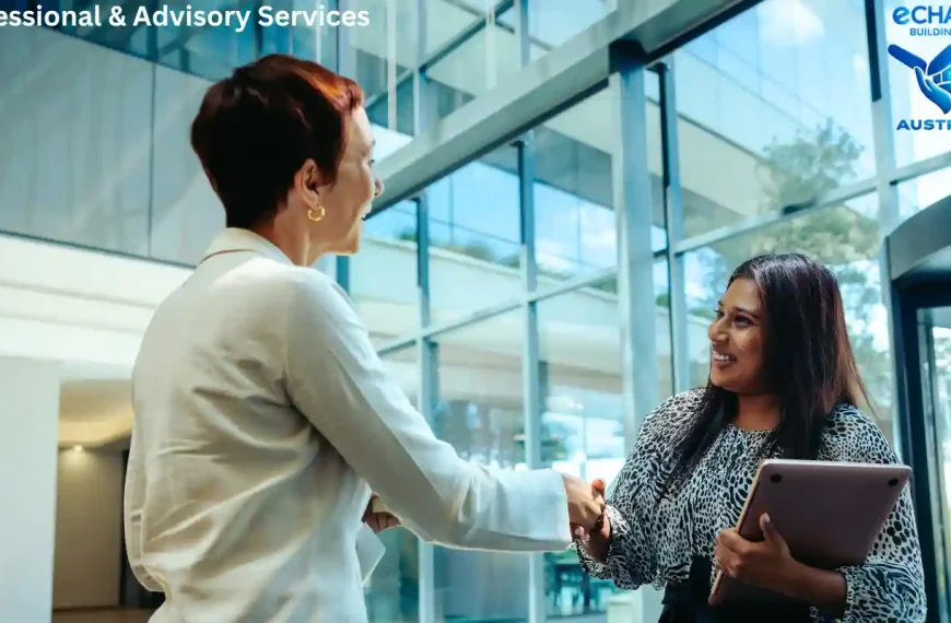 Professional & Advisory Services: Guiding Vulnerable Australians Toward Stability
